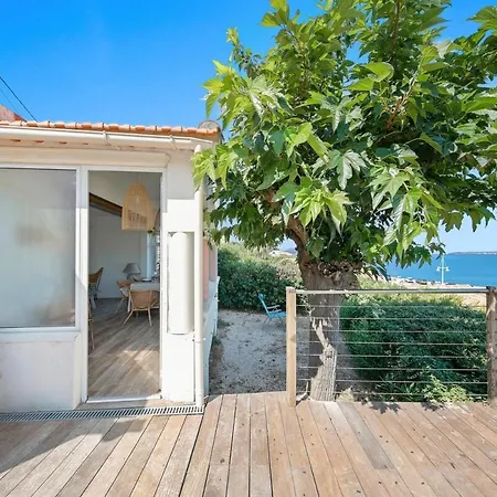 L'echappee Bleue Sea View Terrace Πανσιόν Le Pradet